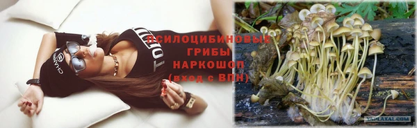 каннабис Каменногорск