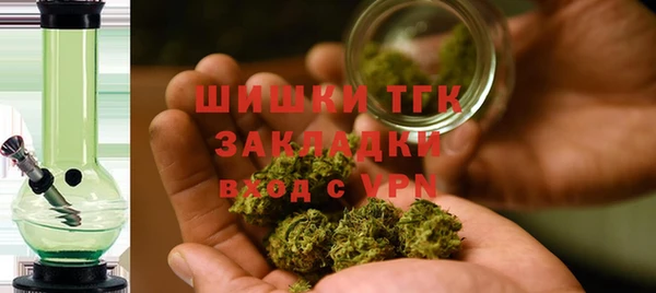 PSILOCYBIN Иннополис