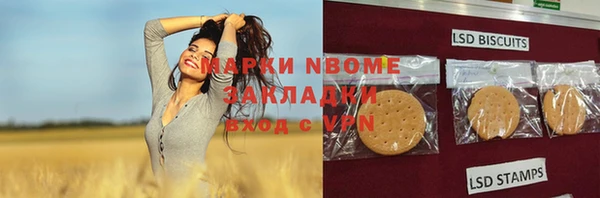 прущая мука Инсар