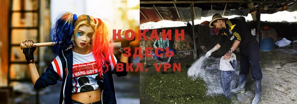 спиды Инта