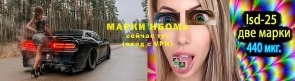 PSILOCYBIN Иннополис