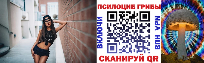 Псилоцибиновые грибы прущие грибы  даркнет сайт  Коломна 